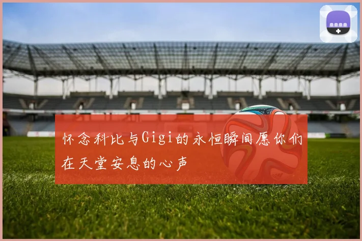 怀念科比与Gigi的永恒瞬间愿你们在天堂安息的心声