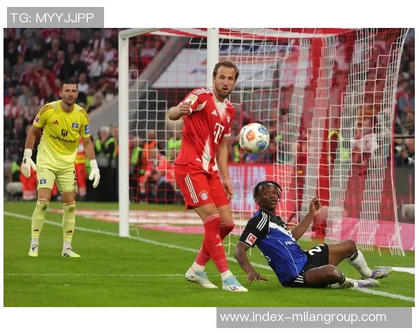 顶级俱乐部纷纷关注汉堡中卫武什科维奇拜仁在列